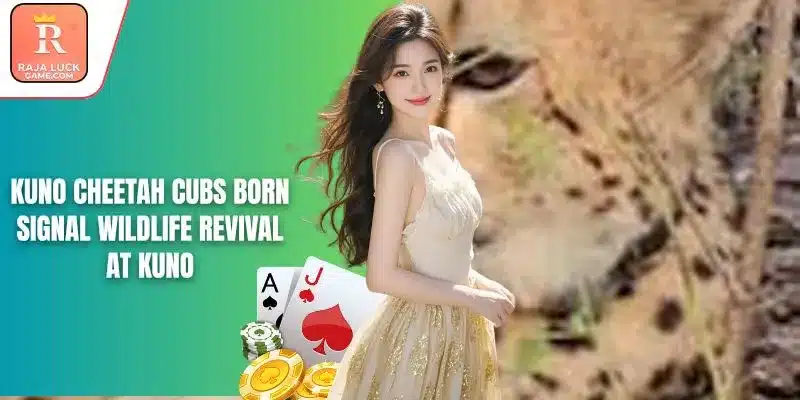 Kuno Cheetah Cubs Born Signal Wildlife Revival At Kuno