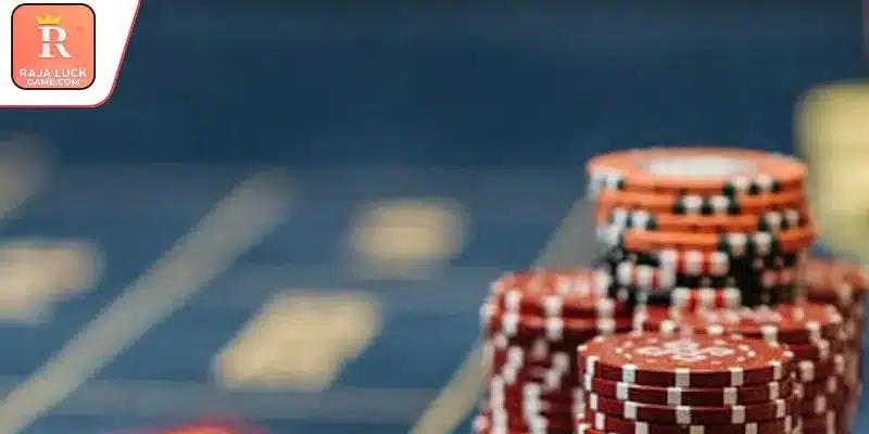 Key policy details every participant should understand before joining